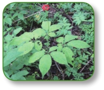 pagenumber_ebook=251,pagenumber_book=238