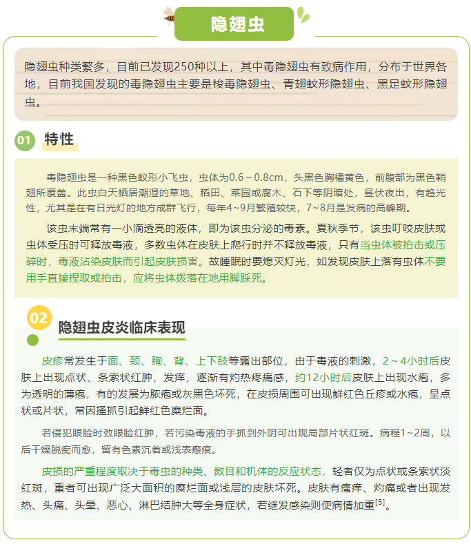 image.png?v=1751560565524