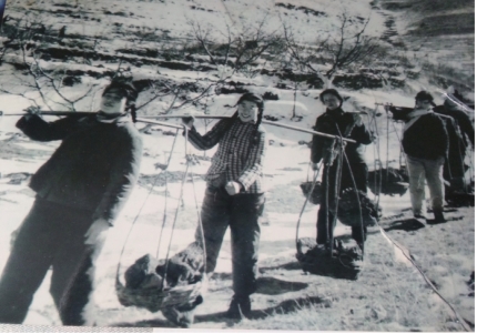 pagenumber_ebook=509,pagenumber_book=497