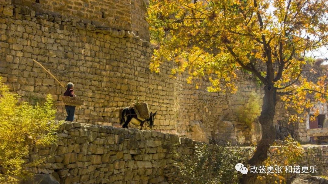 微信图片_20211008154510