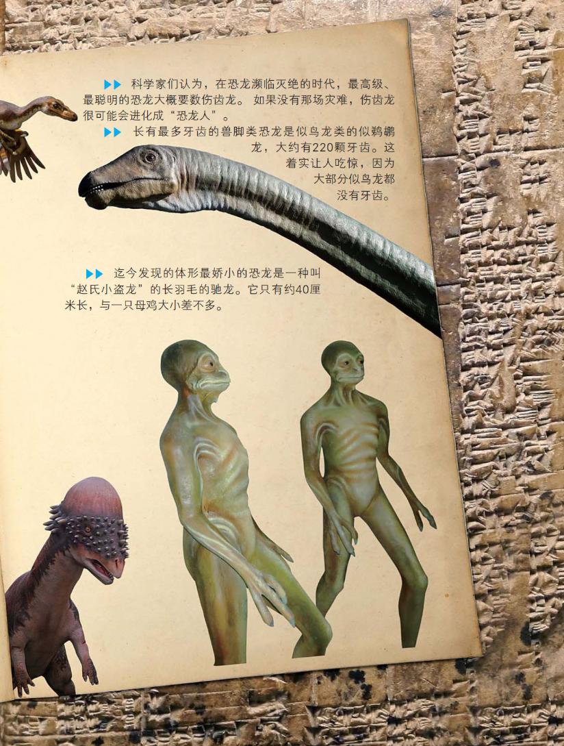 pagenumber_ebook=224,pagenumber_book=221133