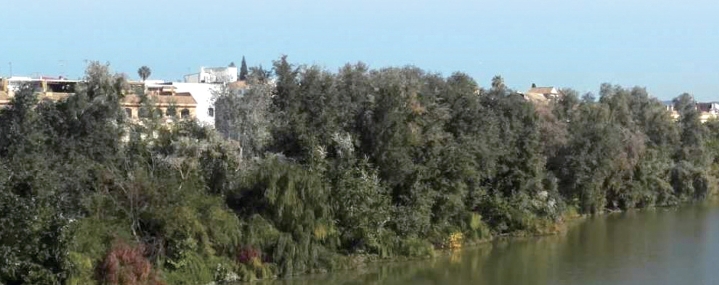 pagenumber_ebook=117,pagenumber_book=116