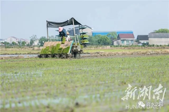 3 3.jpg?v=1765946639919