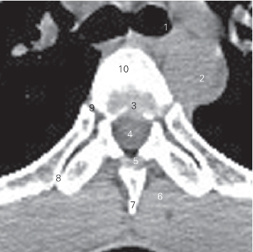 pagenumber_ebook=16,pagenumber_book=7