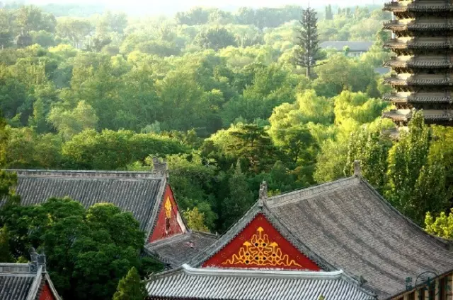 20180122171230_1wpaxk6nim 20180122171230_1wpaxk6nim.png?v=1762008261159