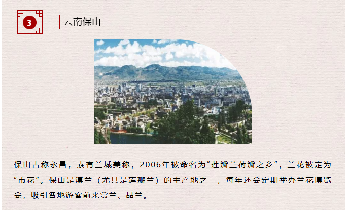 image.png?v=1762124792502