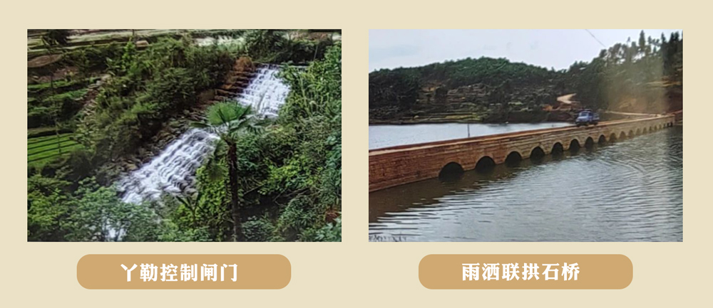 04.jpg