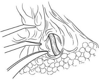 pagenumber_ebook=358,pagenumber_book=343