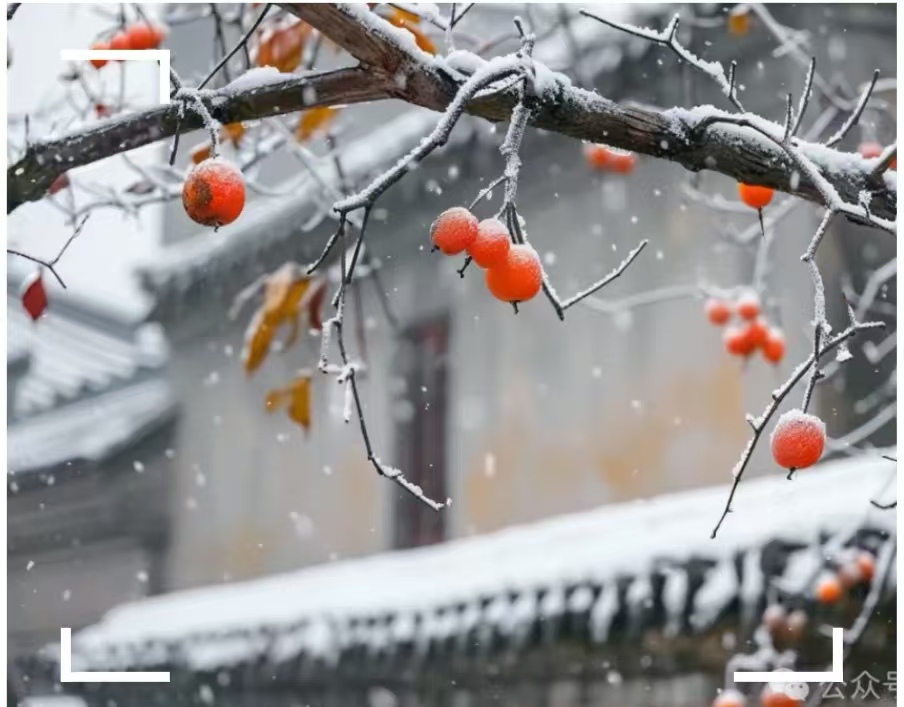 986a537019109cb7de7be619708b661 986a537019109cb7de7be619708b661.jpg