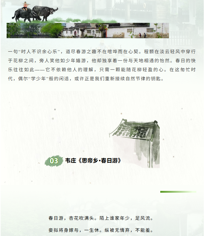 image.png?v=1774110454134