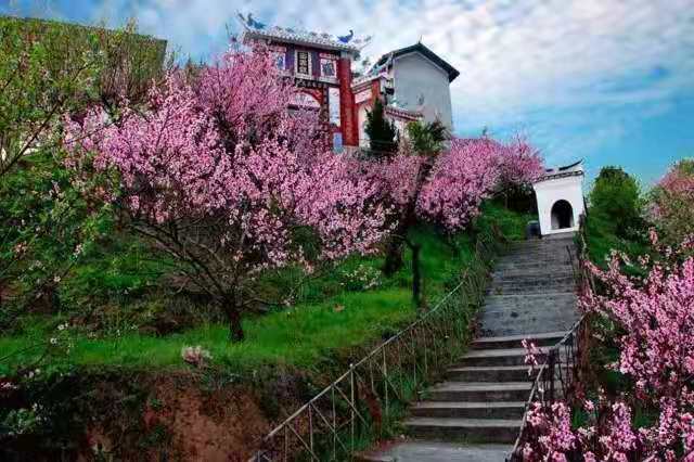 微信图片_20210131135702 微信图片_20210131135702.jpg