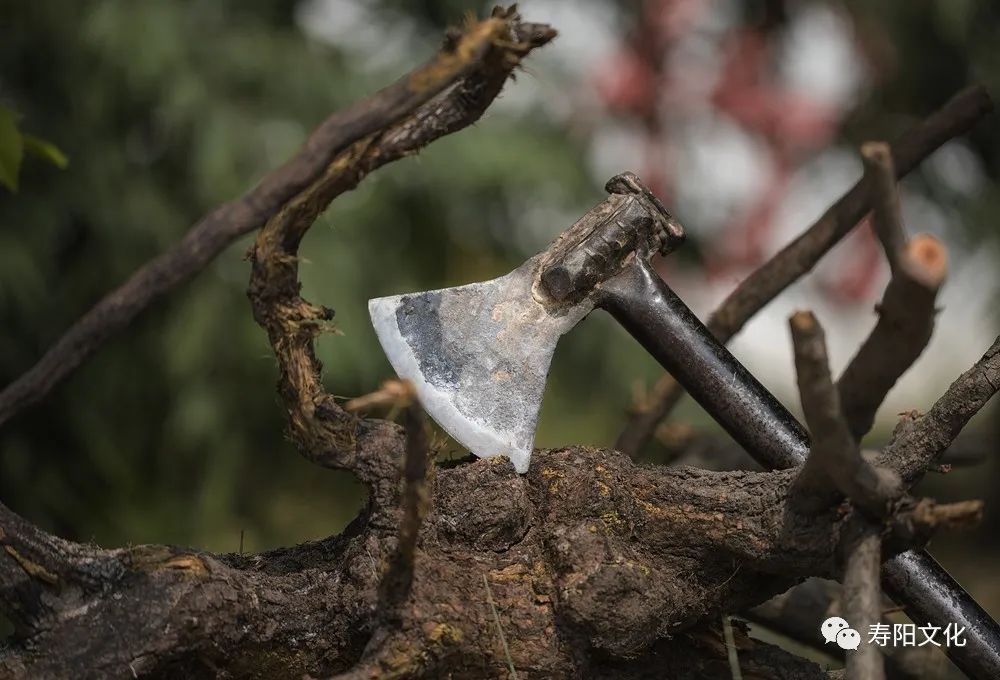 微信图片_20221009095400