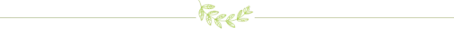 1 1.png?v=1787807873082