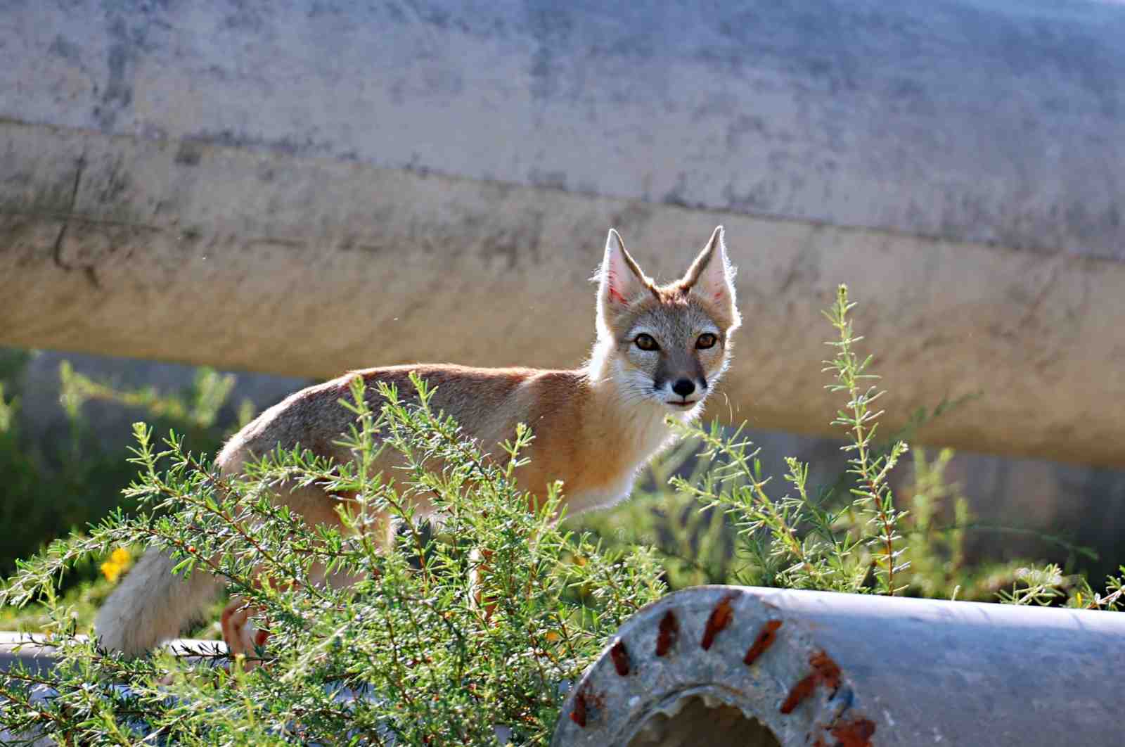 007dll2Jly4h6owdj2ikpj318g0tiq5b