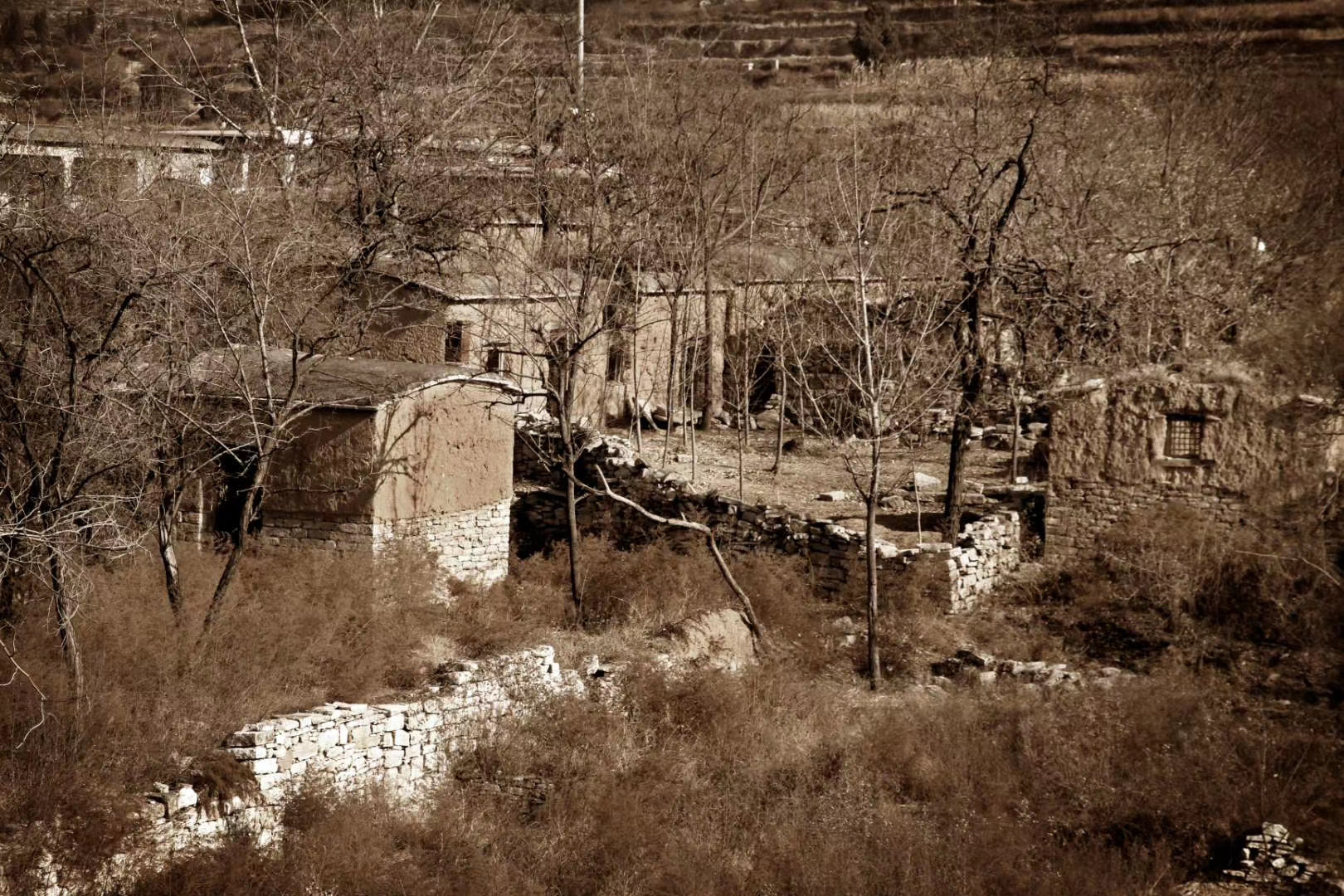 微信图片_20210202085749 微信图片_20210202085749.jpg