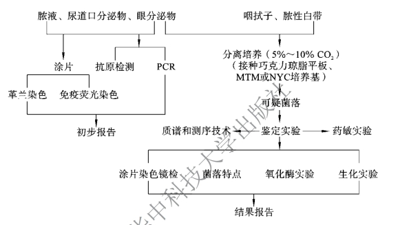 pagenumber_ebook=52,pagenumber_book=45