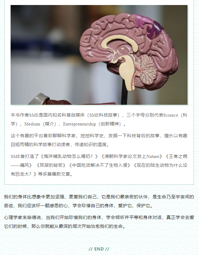 image.png?v=1750228560197