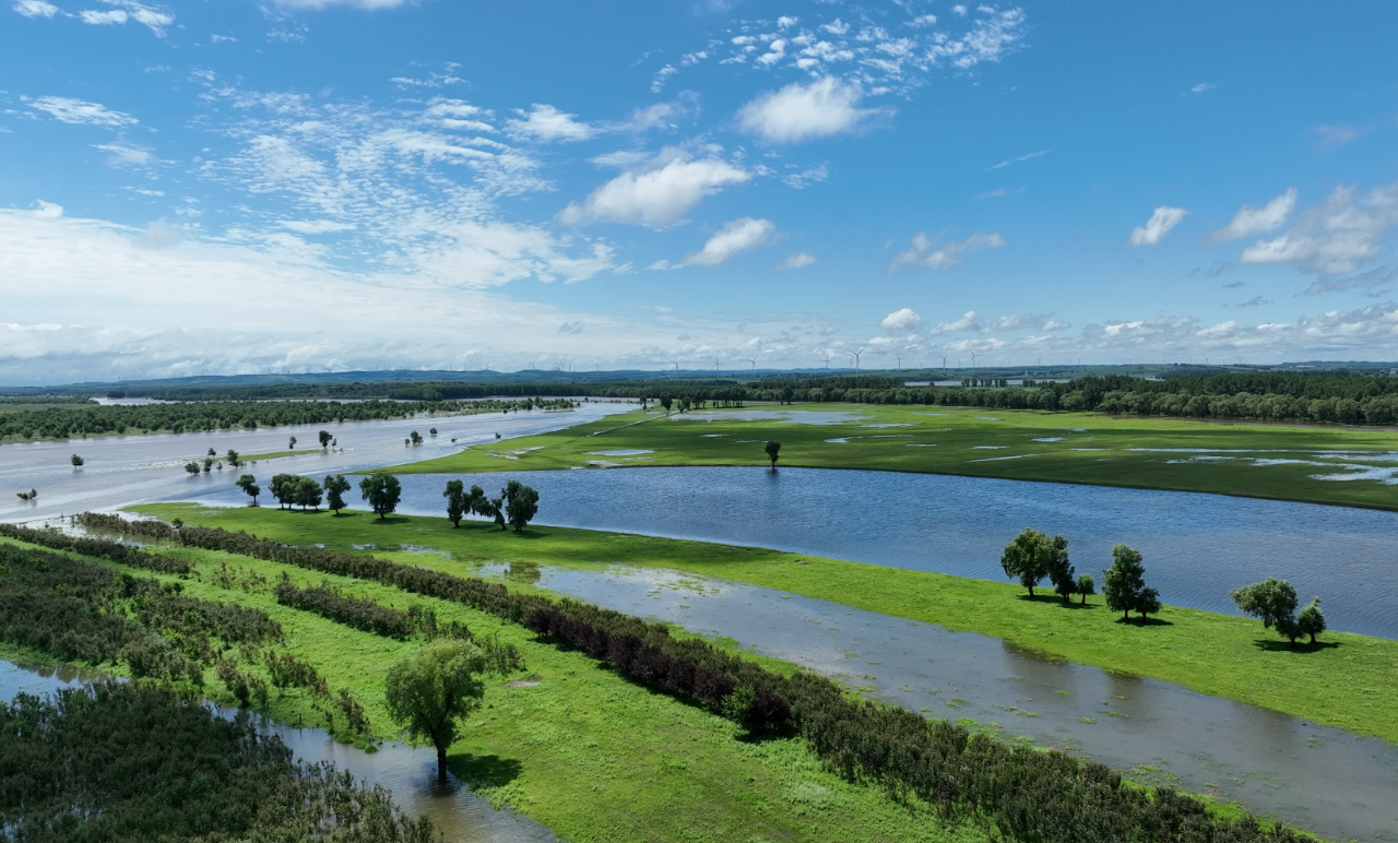 微信图片_20250509142455 微信图片_20250509142455.png