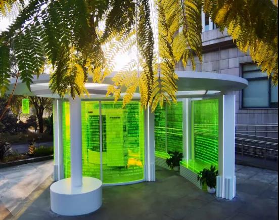 1 1.jpg?v=1765878053597