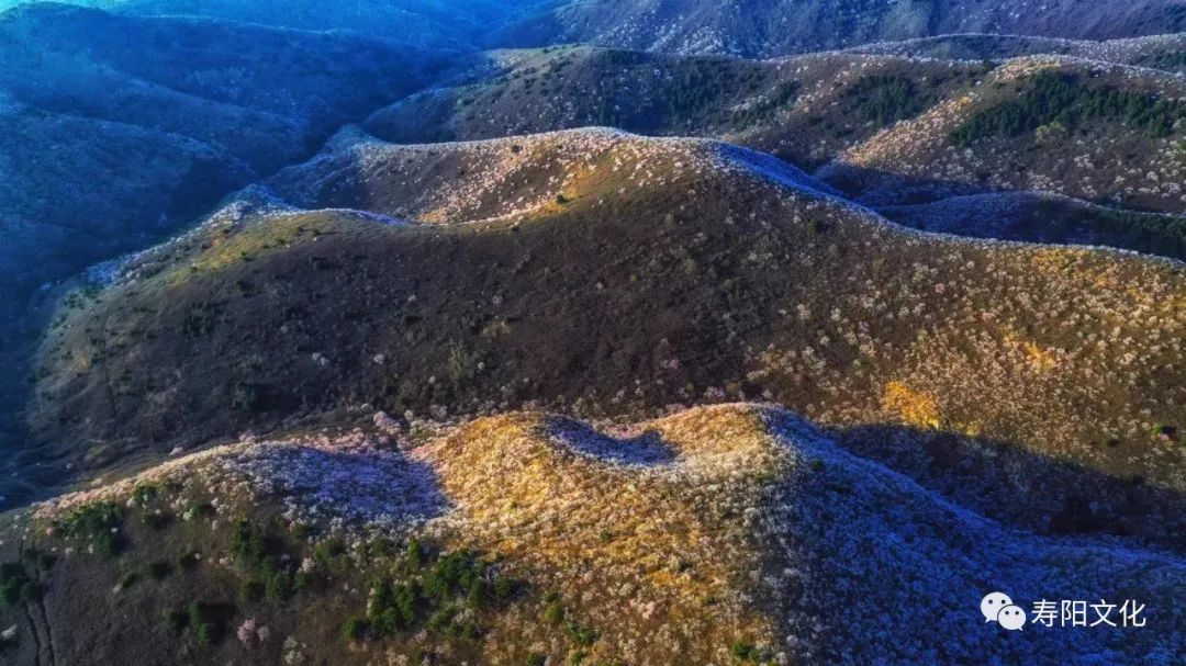 微信图片_20230329164638 微信图片_20230329164638.jpg