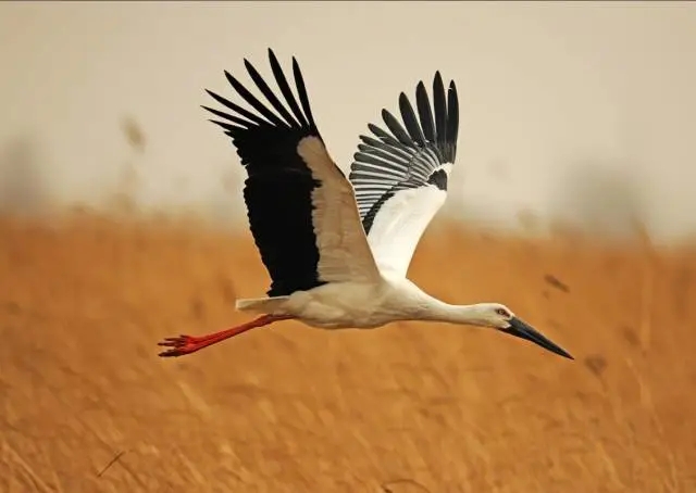 2.webp (1) 2.webp (1).jpg