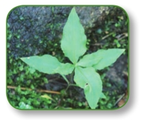 pagenumber_ebook=254,pagenumber_book=241