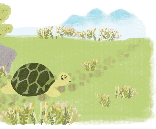 pagenumber_ebook=227,pagenumber_book=209