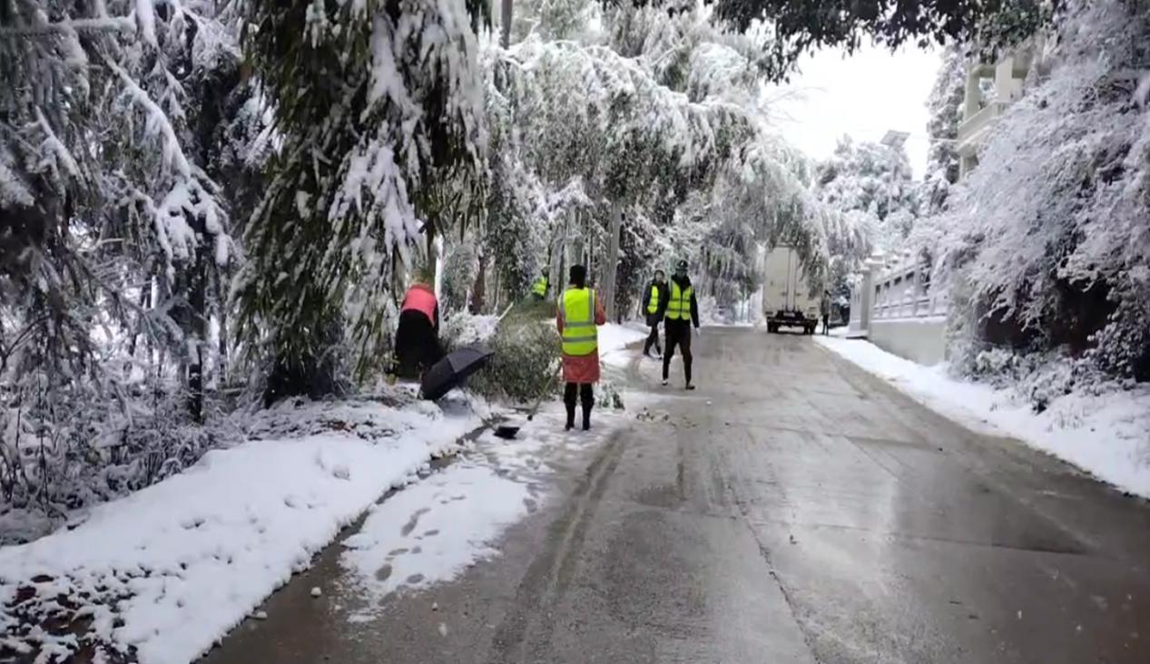 图片37 图片37.jpg