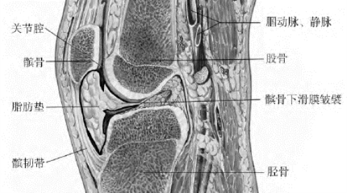 pagenumber_ebook=34,pagenumber_book=16