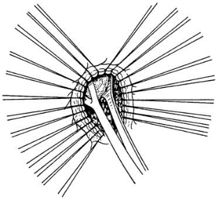 pagenumber_ebook=446,pagenumber_book=431