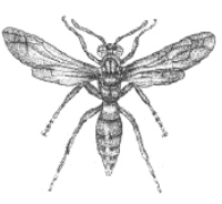 pagenumber_ebook=22,pagenumber_book=6