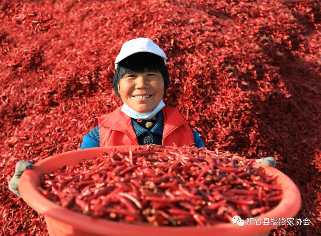 微信图片_20211222111341