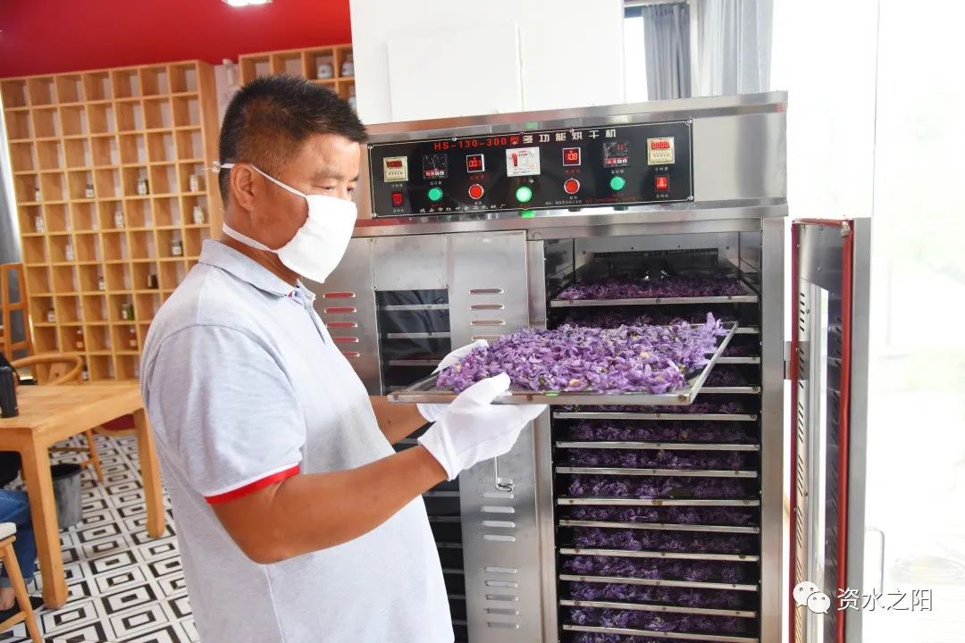 2 2.jpg?v=1765880606003