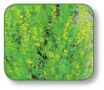 pagenumber_ebook=201,pagenumber_book=188