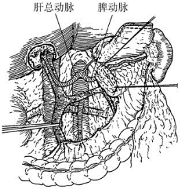 pagenumber_ebook=495,pagenumber_book=480