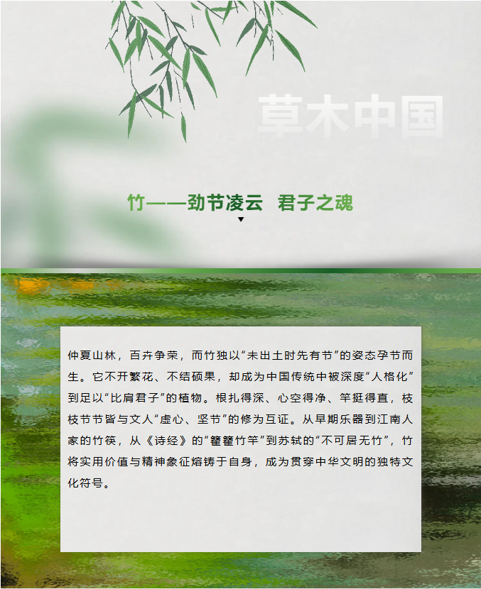 image.png?v=1762126139768