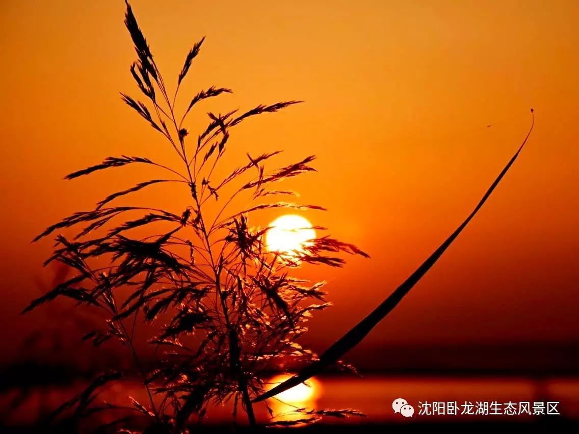 微信图片_20201211091235 微信图片_20201211091235.jpg