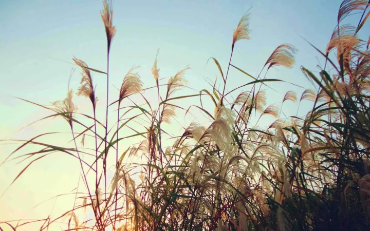 20171107154401_wcxa9o6gtr 20171107154401_wcxa9o6gtr.png?v=1773791929739