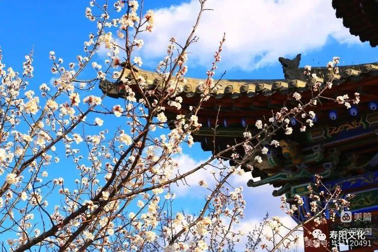 微信图片_20230414095925