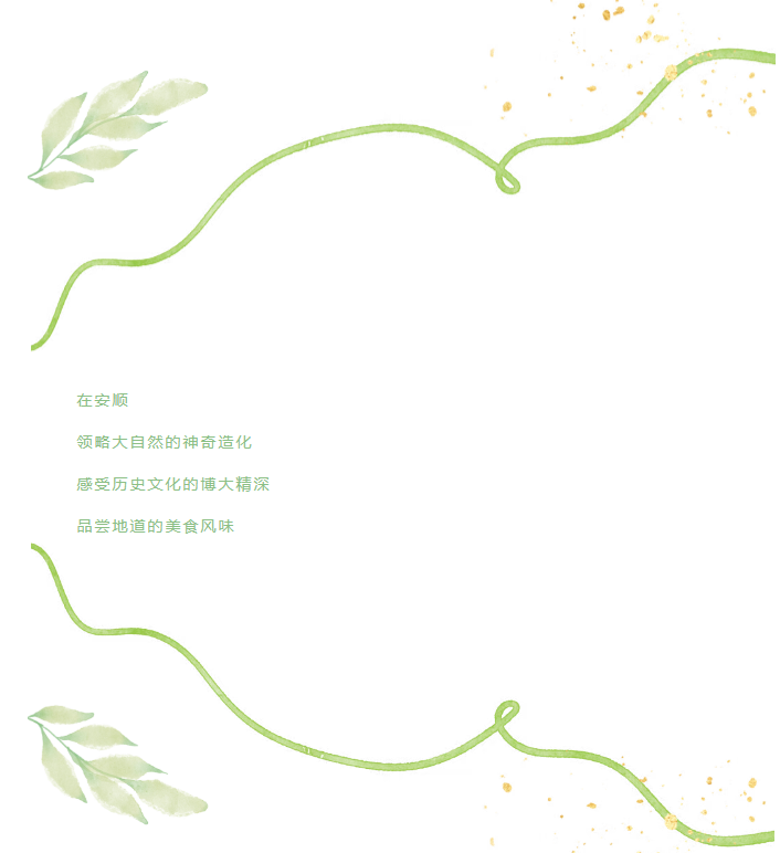 image.png?v=1751558967926