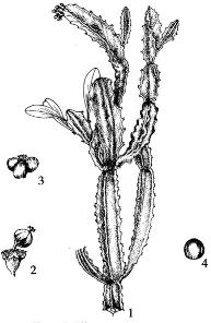 pagenumber_ebook=229,pagenumber_book=229