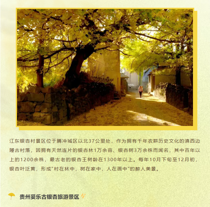 image.png?v=1762073802454