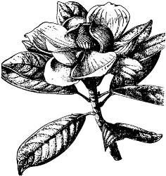 pagenumber_ebook=99,pagenumber_book=99