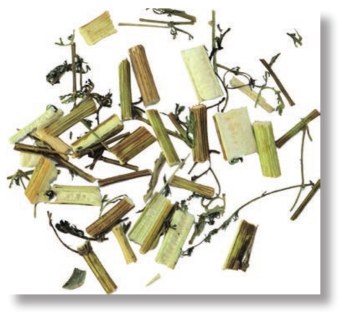 pagenumber_ebook=78,pagenumber_book=65