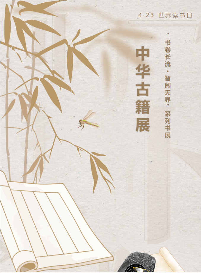 image.png?v=1751558756444