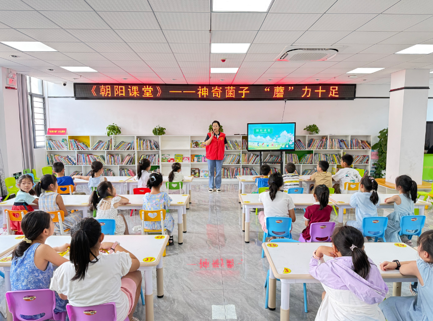 afb30397-67c3-42f4-958f-d6195ca9fc99 afb30397-67c3-42f4-958f-d6195ca9fc99.png?v=1762614501971