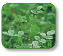 pagenumber_ebook=259,pagenumber_book=246