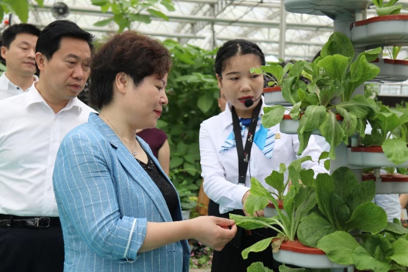 微信图片_20190705105831