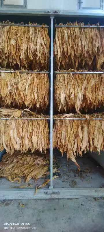 产业引领促振兴4 产业引领促振兴4.png