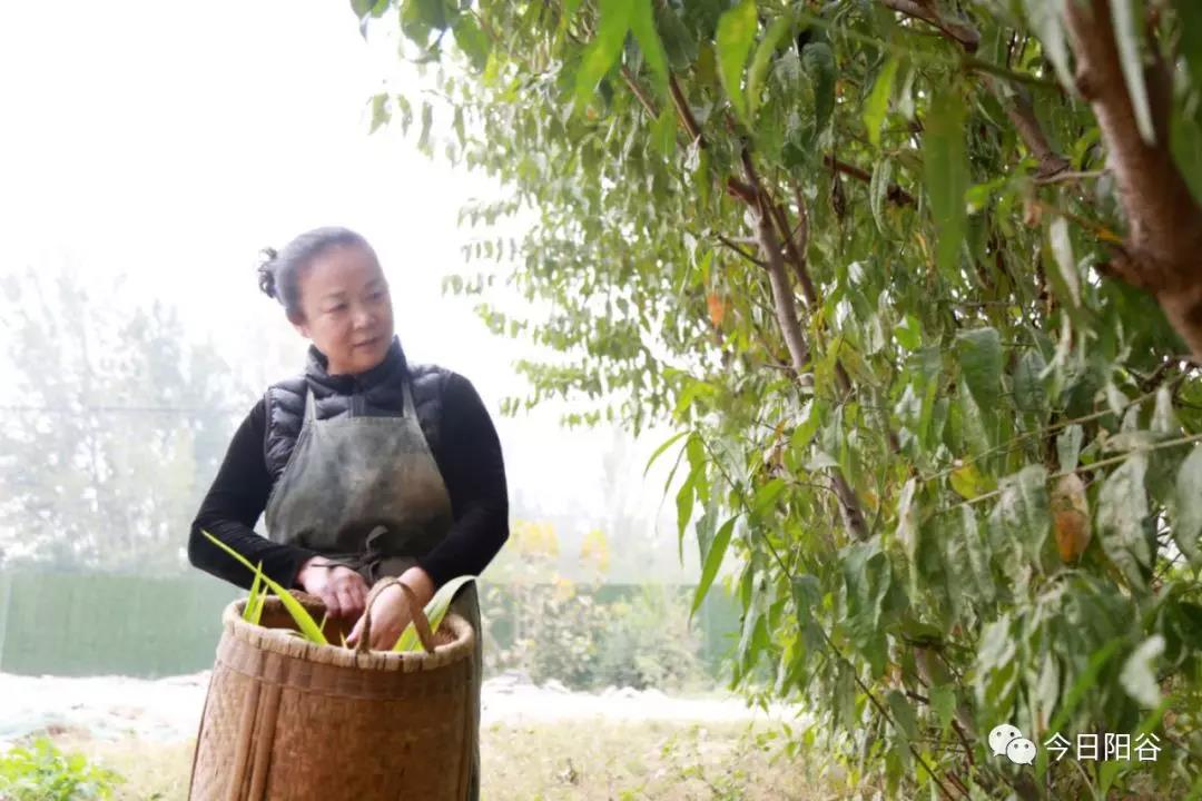 微信图片_20210315101143 微信图片_20210315101143.jpg